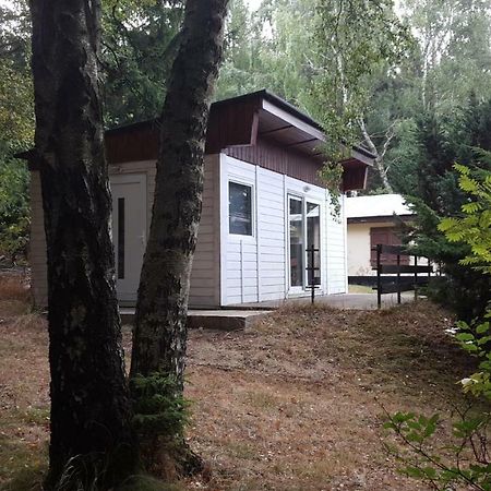 Bungalowdorf Klein Budelsdorf Altenberg  Εξωτερικό φωτογραφία