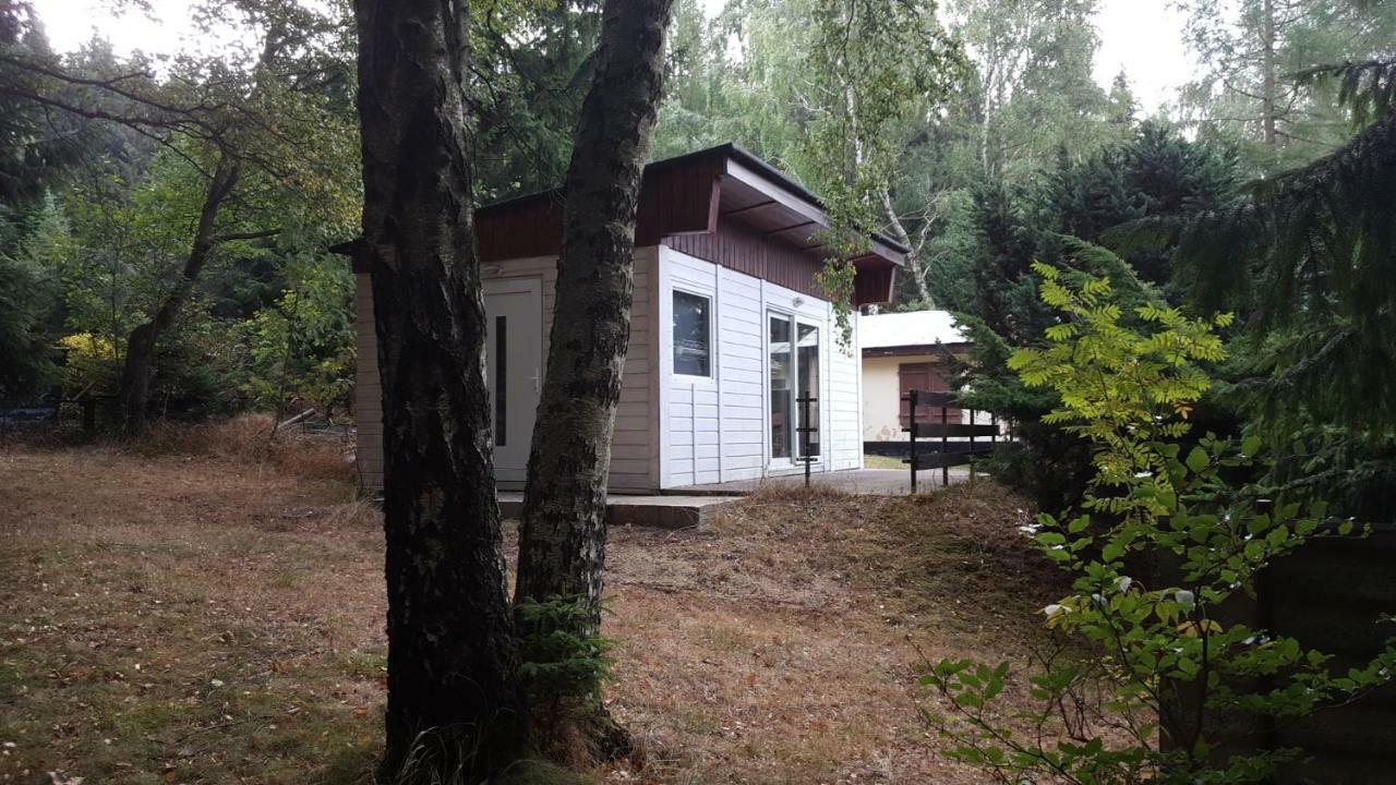 Bungalowdorf Klein Budelsdorf Altenberg  Εξωτερικό φωτογραφία